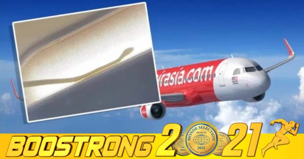 យន្តហោះដឹកអ្នកដំណើរមួយគ្រឿងត្រូវបង្ខំចិត្តចុះចតជាបន្ទាន់ ក្រោយប្រទះឃើញសត្វពស់មួយក្បាលកំពុងវារនៅកន្លែងអ្នកបើកបរ