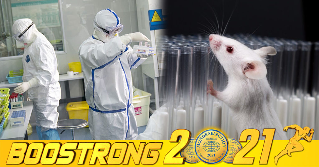 អ្នកវិទ្យាសាស្ត្រចិនបានអះអាងថា ជំងឺកូវីដ-១៩ វ៉ារ្យ៉ង់អូមីក្រុង ទំនងជាចម្លងចេញពីសត្វកណ្ដុរមកមនុស្ស