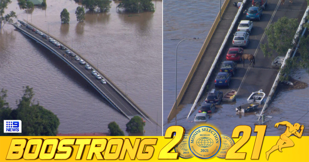 នៅអូស្ត្រាលី ទាំងមនុស្ស ទាំងសត្វ ត្រូវជាប់គាំងលើស្ពានមួយពេញមួយយប់ ក្រោយទឹកជំនន់ជន់លិចផ្តាច់ផ្លូវយ៉ាងឆាប់រហ័ស