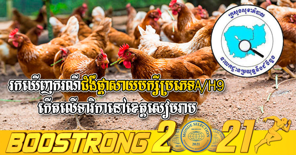 នាយកដ្ឋានប្រយុទ្ធនឹងជំងឺឆ្លង៖ រកឃើញករណីជំងឺផ្តាសាយបក្សីប្រភេទA/H9 កើតលើទារិកាអាយុជាង ១ខួប នៅក្នុងខេត្តសៀមរាប
