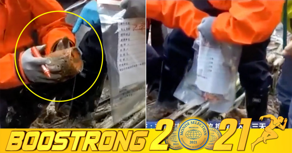 ប្រអប់ខ្មៅរបស់យន្តហោះ Boeing 737-800 ដែលដឹកមនុស្ស ១៣២នាក់ ហើយបានធ្លាក់លើភ្នំក្នុងប្រទេសចិន ពេលនេះត្រូវបានរកឃើញហើយ (មានវីដេអូ)