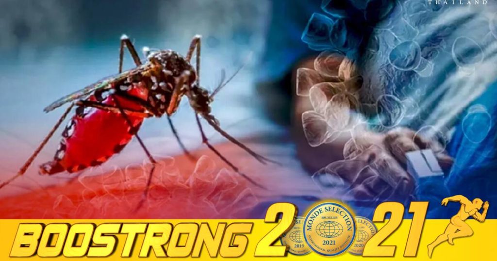 ថៃព្រមានពីការរាត្បាតជំងឺគ្រុនឈាមប្រភេទ ២ ដែលជាជំងឺគ្រោះថ្នាក់និងមានអាការៈស្រដៀងជំងឺកូវីដ-១៩ នៅអំឡុងពេលបុណ្យ “សង្ក្រាន្តថៃ” ខាងមុខ