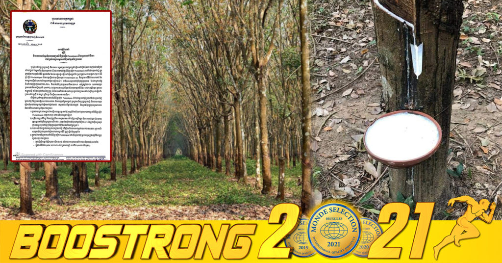 ក្រសួងកសិកម្ម ចាត់វិធានការទប់ស្កាត់ការរាតត្បាតជំងឺជ្រុះស្លឹក Pestalotiopsis និងព្យាបាលជំងឺនេះ ដល់គ្រប់បណ្ដាលចម្ការកៅស៊ូ នៅទូទាំងប្រទេស