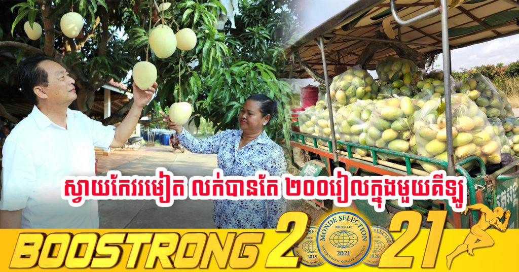 សេដ្ឋីកសិកម្មនៅកម្ពុជា ឯកឧត្តមបណ្ឌិត ម៉ុង ឫទ្ធី បញ្ជាក់ថា ឆ្នាំនេះស្វាយកែវរមៀតរបស់លោក ចុះថ្លៃខ្លាំងលក់បានតែ ២០០រៀលប៉ុណ្ណោះក្នុងមួយគីឡូក្រាម ខណៈដែលទំនិញឡើងថ្លៃស្ទើគ្រប់មុខ