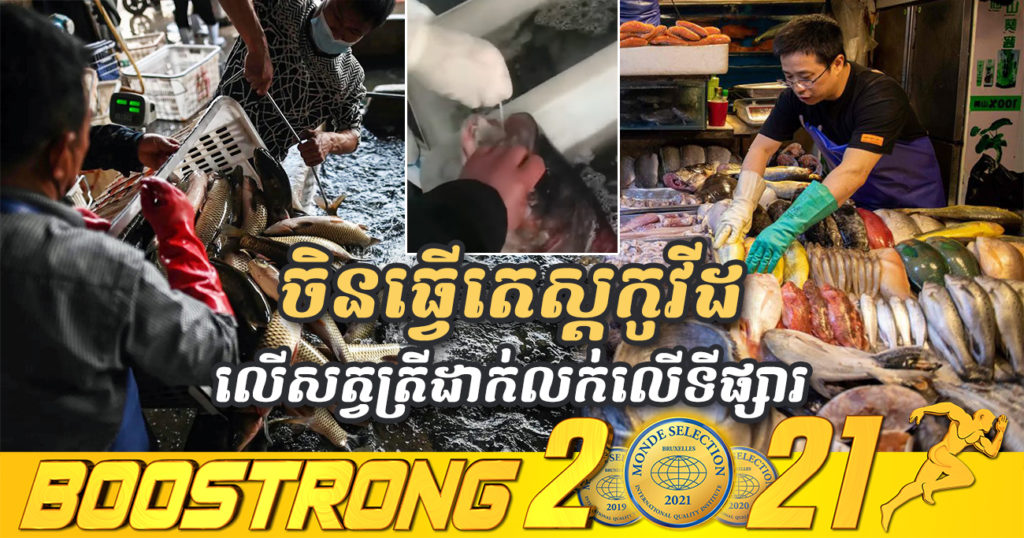 អាជ្ញាធរចិនសម្រេចធ្វើតេស្តកូវីដ-១៩ លើសត្វត្រីដែលកំពុងដាក់លក់លើទីផ្សារនៅក្នុងទីក្រុងសៀងហៃ (មានវីដេអូ)