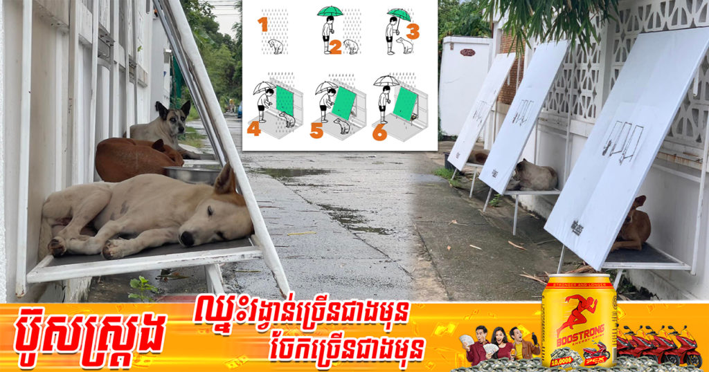 ថៃផ្ទុះការចាប់អារម្មណ៍គំនិតបង្កើតជម្រកសាធារណៈសម្រាប់សត្វឆ្កែតាមដងផ្លូវ ដើម្បីជួយពួកវាឲ្យមានកន្លែងជ្រកក្តៅ ជ្រកភ្លៀង