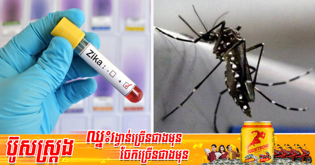អ្នកវិទ្យាសាស្ត្របានព្រមានថា មេរោគ Zika អាចមានហានិភ័យទៅជាជំងឺរាតត្បាតថ្មី ដោយសារការផ្លាស់ប្ដូរទម្រង់របស់វា