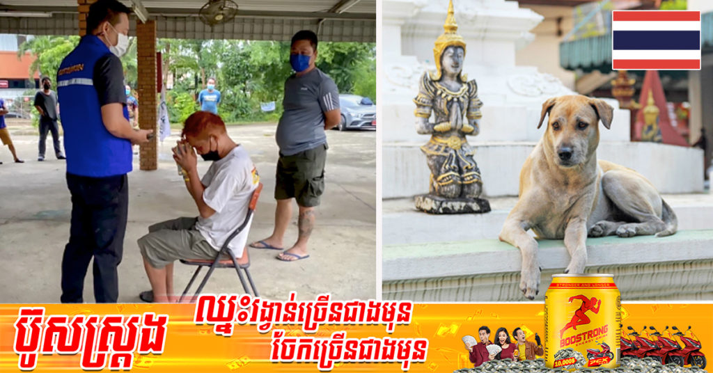 បុរសម្នាក់បម្រុងនឹងចូលលួចបច្ច័យវត្តទៅហើយ ប៉ុន្តែបានឆ្កែវត្តមួយក្រុមព្រួតគ្នា បណ្ដេញចេញពីវិហារវត្តបានវិញ