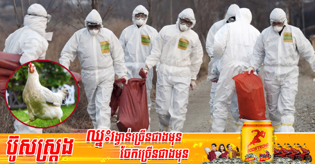 ថ្មីទៀតហើយ! ប្រទេសចិនបានរាយការណ៍ពីករណីជំងឺផ្ដាសាយបក្សី H3N8 កើតនៅលើមនុស្សជាលើកដំបូងបំផុតរបស់ខ្លួន