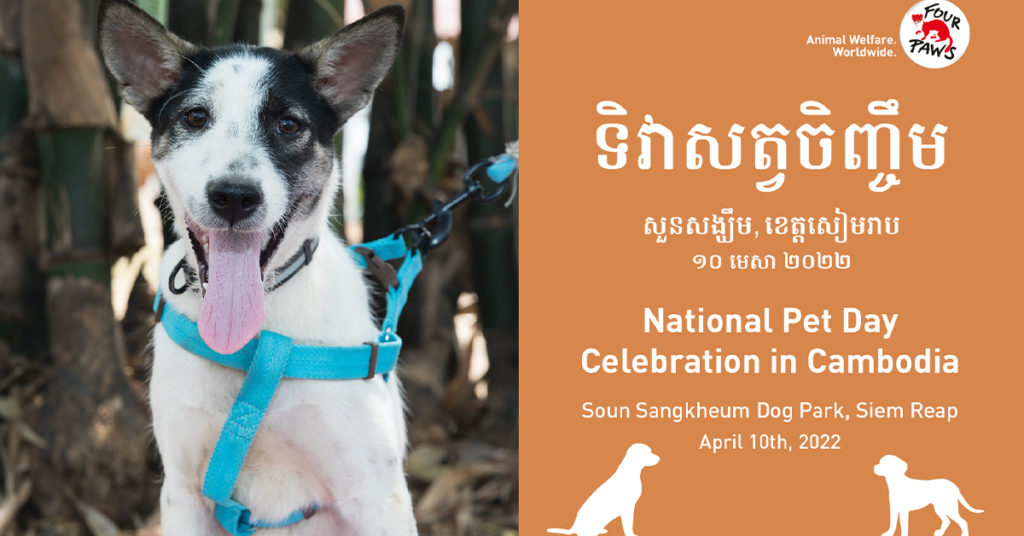 ទិវាសត្វចិញ្ចឹមអន្តរជាតិនៅខេត្តសៀមរាប