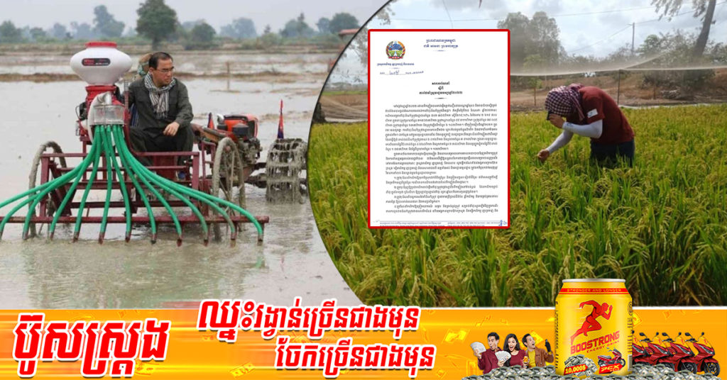 ក្រសួងកសិកម្ម ចេញសារាចរណ៍ណែនាំ ស្តីពីការថែទាំស្រូវរដូវវស្សា ឆ្នាំ២០២២ ដោយមានភ្លៀងធ្លាក់ច្រើនស្ទើរគ្រប់តំបន់