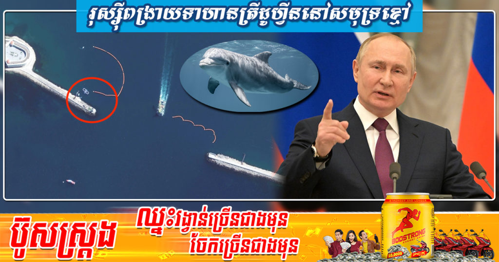 រុស្ស៊ីដាក់ពង្រាយទាហានសត្វត្រីដូហ្វីន នៅសមុទ្រខ្មៅ ដើម្បីការពារអ្នកមុជទឹកអ៊ុយក្រែន និងទុកបំផ្លាញនាវាចម្បាំង