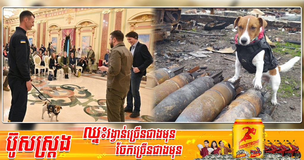 សុនខហិតមីនមួយក្បាលទទួលបានមេដាយកិត្តិយសពីលោកប្រធានាធិបតីអ៊ុយក្រែន Volodymyr Zelensky