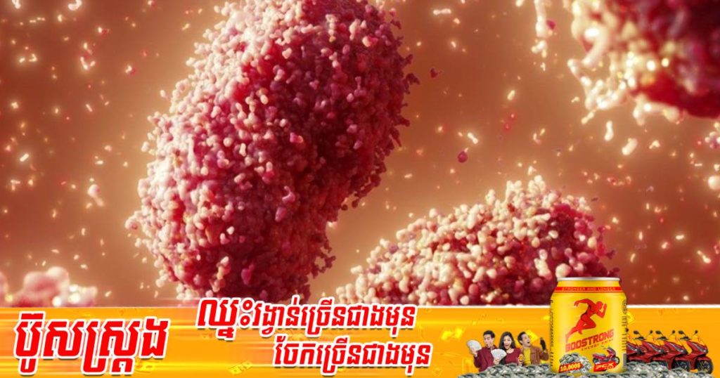 ជំងឺអុតស្វា Monkeypox បន្តរាតត្បាតដល់សាធារណរដ្ឋឆេក ស្លូវេនី និងប្រទេសអារ៉ាប់រួម