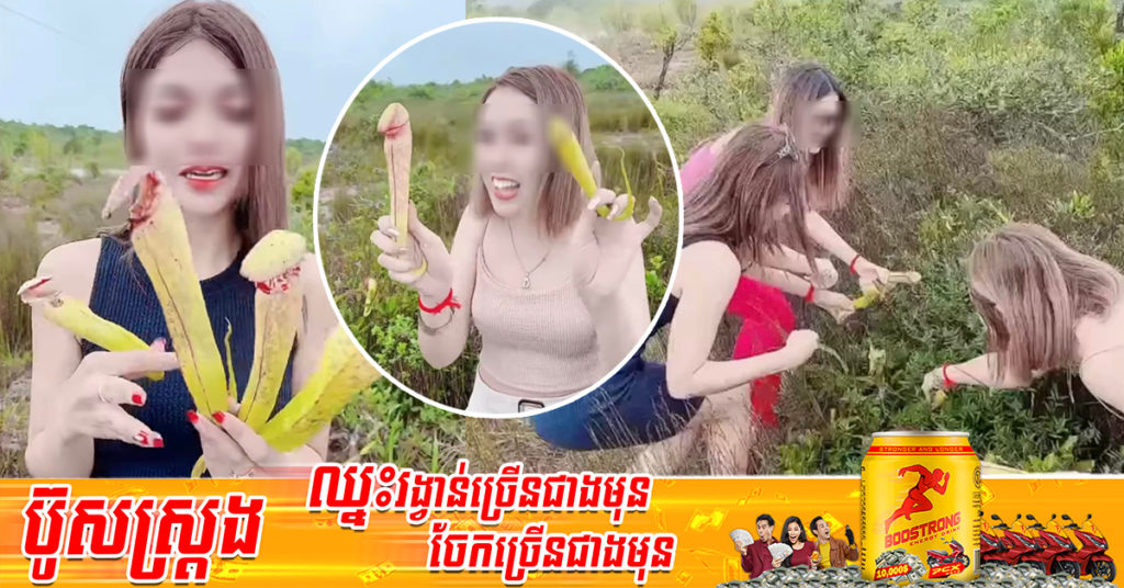 ក្រសួងបរិស្ថាន អំពាវនាវសូមកុំប្រព្រឹត្តបែបនេះទៀត ក្រោយឃើញមានក្រុមនារីៗ ទៅបេះផ្កាបំពង់ក្រឡោម ដែលជាប្រភេទរុក្ខជាតិព្រៃរងគ្រោះ