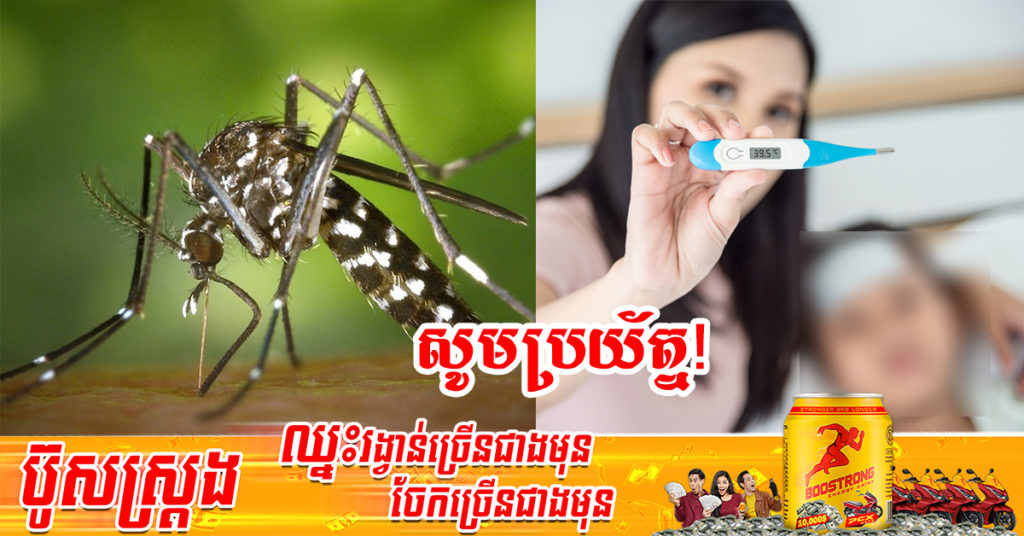 មន្ត្រីជំនាញសុខាភិបាល អំពាវនាវឱ្យមាតាបិតាយកចិត្តទុកដាក់ចំពោះកូនតូចៗ ខណៈរយៈពេលបួនខែដើមឆ្នាំនេះករណីកើតជំងឺគ្រុនឈាមមានការកើនឡើង