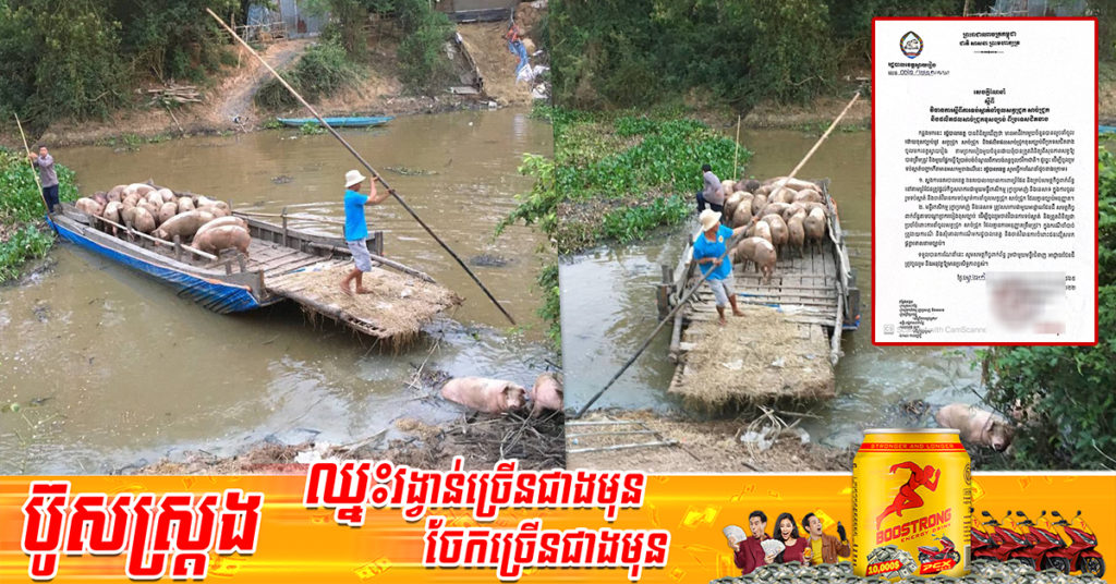 រដ្ឋបាលខេត្តស្វាយរៀង ចាត់វិធានការទប់ស្កាត់ការនាំចូលសត្វជ្រូក និងផលិតផលសាច់ជ្រូកខុសច្បាប់ពីប្រទេសជិតខាង