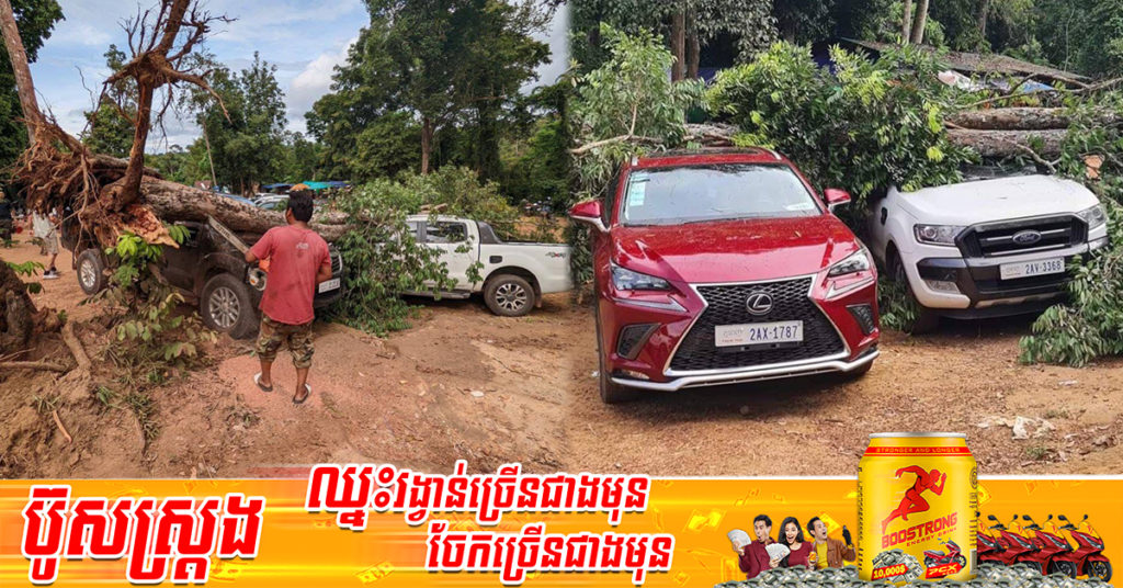 ដើមឈើបុស្សនាគ បាក់រលំឈើសង្កត់រថយន្តចំនួន ០៣គ្រឿង ខូចខាតយ៉ាងដំណំ នៅចំណុចចំណតរថយន្ដទឹកធ្លាក់ជាន់ទី៣ ទឹកជ្រោះភ្នំគូលែន