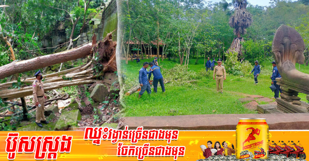 ភ្លៀងធ្លាក់លាយឡំខ្យល់កន្ត្រាក់ បាក់រលំដើមឈើសង្កត់លើប្រាសាទបុរាណក្នុងខេត្តសៀមរាប