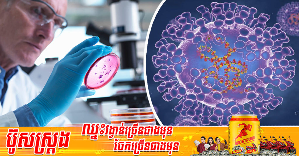 ជំងឺអុតស្វាយ Monkeypox ពេលនេះបានឆ្លងដល់សហរដ្ឋអាមេរិក ខណៈកំពុងចម្លងរាតត្បាតនៅទូទាំងតំបន់អឺរ៉ុប