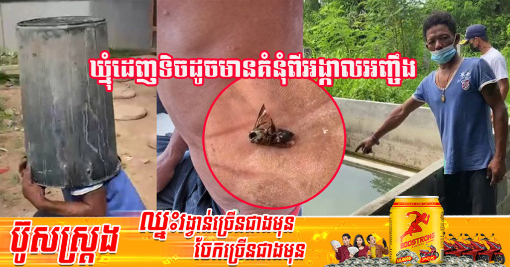 ថៃ៖ បុរសម្នាក់​ប្រាប់ពីវិធីយករួចខ្លួនពីឃ្មុំ​រាជ​ (Royals Bee) ជាង ​៤០០​ក្បាល ដេញទិចប៊ិះនឹងអស់ជីវិត