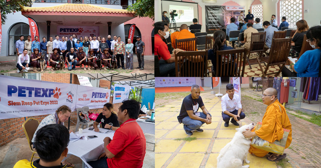 អ្នកចូលរួមសិក្ខាសាលាស្តីពីការយល់ដឹងអំពីការជួញដូរសាច់សុនខ ក្នុងខេត្តសៀមរាប បានសន្យាថានឹងធ្វើការរួមគ្នាដើម្បីបញ្ឈប់ការជួញដូរសាច់សុនខនៅកម្ពុជា