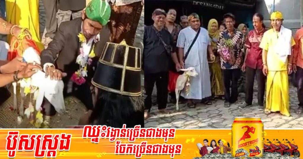 បុរសឥណ្ឌូនេស៊ីម្នាក់បានរៀបការជាមួយសត្វពពែញីត្រឹមត្រូវតាមប្រពៃណីដើម្បីទាញការចាប់អារម្មណ៍ តែចុងក្រោយគាត់ទទួលបានលទ្ធផលខកចិត្តមួយនេះ