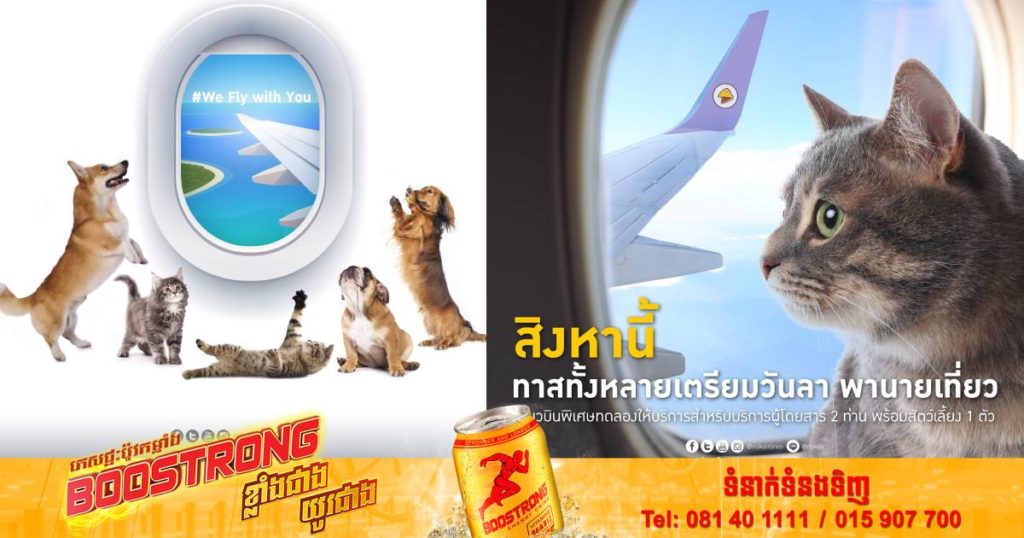 ក្រុមហ៊ុនអាកាសចរណ៍មួយរបស់ថៃអនុញ្ញាតឲ្យអ្នកដំណើរអាចនាំយកសត្វចិញ្ចឹមជិះក្នុងយន្តហោះជាមួយគ្នាបាន