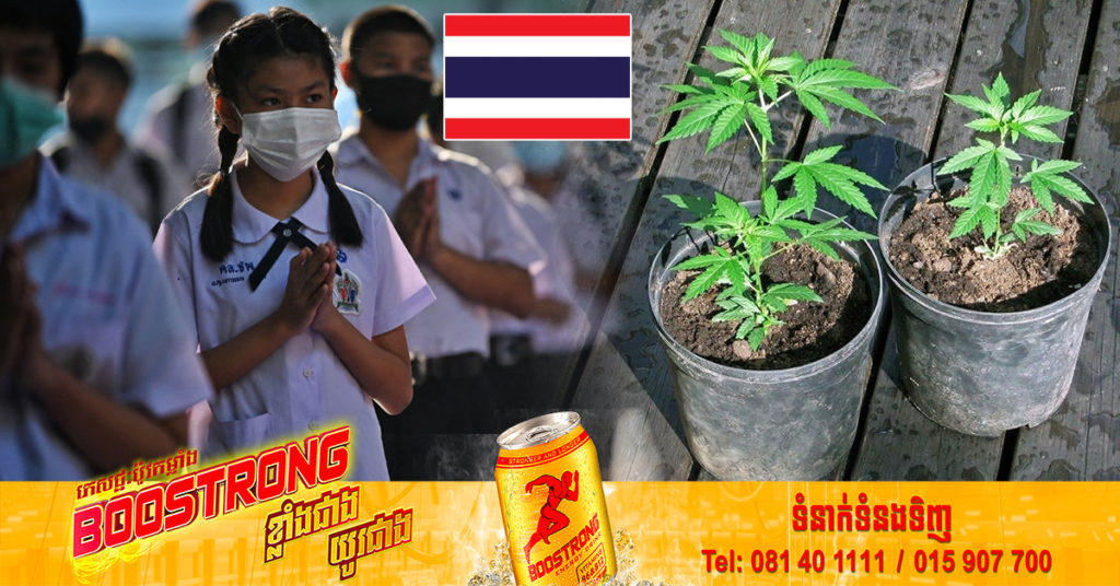 អភិបាល​ក្រុង​បាងកក​បានចេញ​វិធានការ​ចំនួន ៩ ​ចំណុច ​ដើម្បី​ធ្វើ​ឱ្យ​សាលារៀន​ជា​តំបន់​គ្មាន​កញ្ឆា ក្រោយប្រទេសថៃទើបតែអនុញ្ញាតឱ្យមានការប្រើប្រាស់កញ្ឆាក្នុងអាហារ និងភេសជ្ជៈ