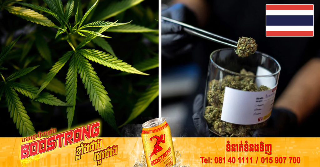 ប្រទេសថៃបានធ្វើឱ្យស្របច្បាប់សម្រាប់ការដាំដុះ និងការប្រើប្រាស់កញ្ឆា នៅក្នុងម្ហូបអាហារ និងភេសជ្ជៈ