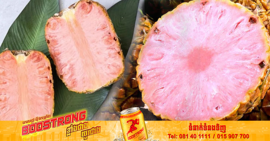 សូមប្រយ័ត្ន! ពូជម្នាស់ថ្មីមួយប្រភេទពណ៌ផ្កាឈូកកំពុងចរាចរនៅប្រទេសថៃ ដែលជាម្នាស់ GMO មិនត្រូវបានអនុញ្ញាត្តិឲ្យមានចរាចរក្នុងទីផ្សានោះទេ ព្រោះវាប៉ះពាល់សុខភាពរយ:ពេលយូរ