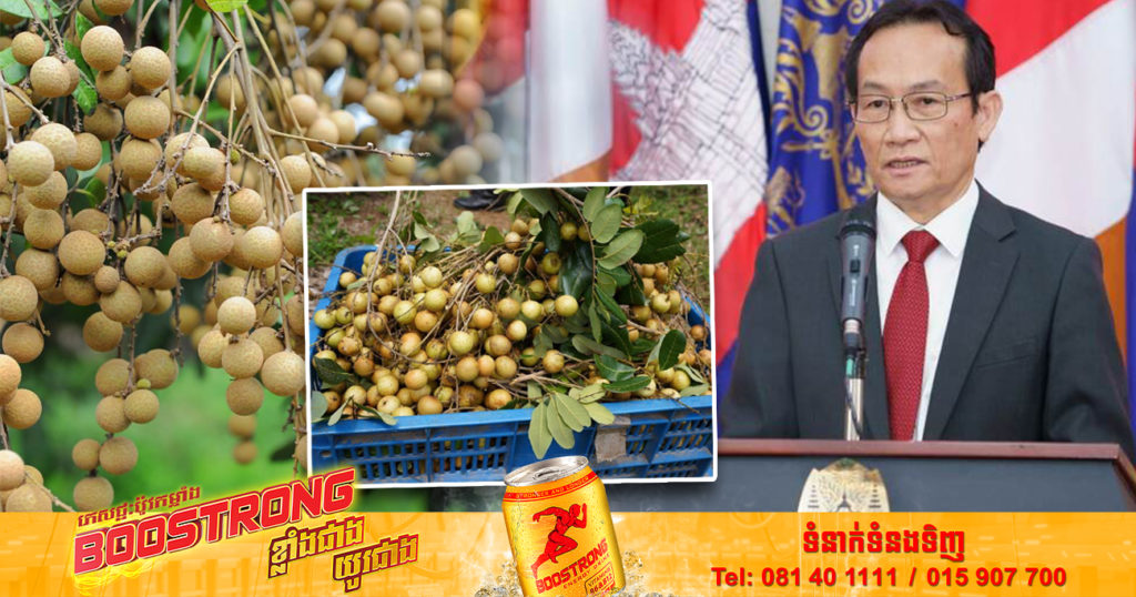 កម្ពុជារំពឹងថា នឹងអាចនាំចេញផ្លែមៀនប៉ៃលិនទៅកាន់ទីផ្សារប្រទេសចិននាពេលឆាប់ៗខាងមុខនេះ