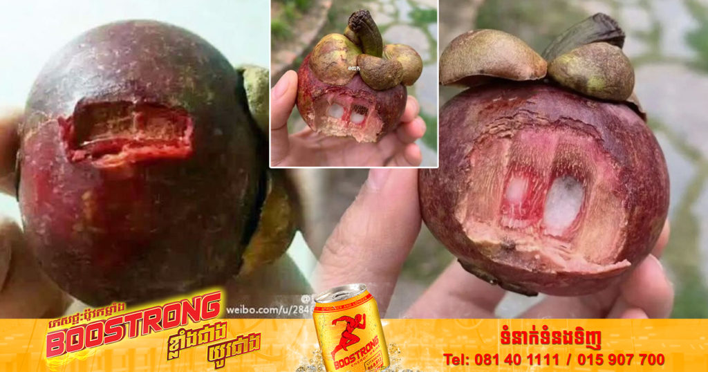 ហួសចិត្ត! អ្នក​និយម​លេង​អ៉ីនធឺណិត​ចិន​រិះគន់ «មង្ឃុត» មិន​ឆ្ងាញ់មានរសជាតិល្វីង ហើយមានតម្លៃ​ថ្លៃ តែពេល​ឃើញវិធីបរិភោគហើយហួសចិត្តទៅវិញ