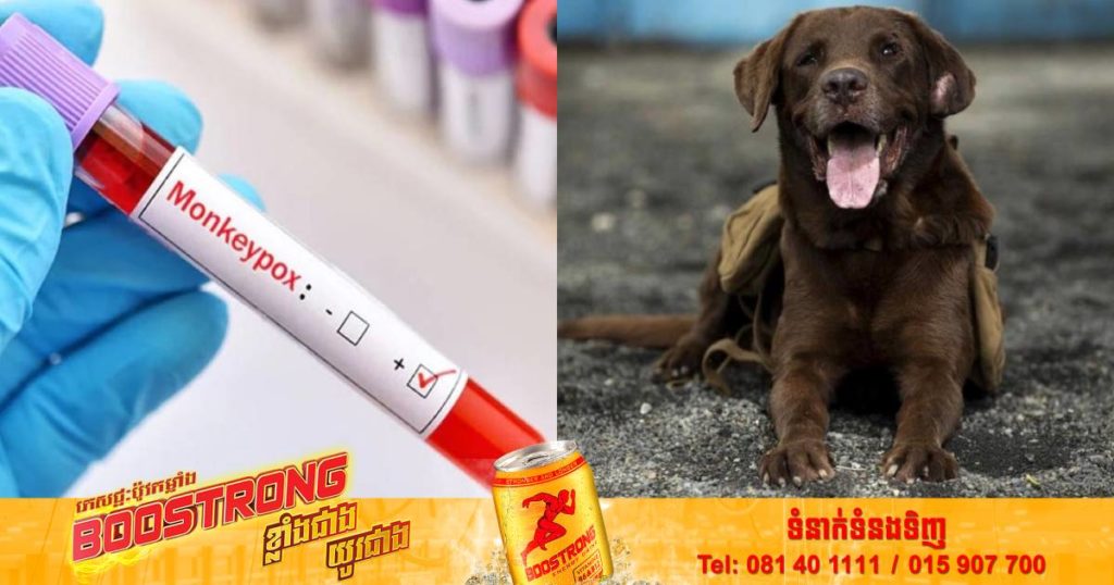 WHO អំពាវនាវឲ្យបន្ថែមការប្រុងប្រយ័ត្ន ក្រោយរកឃើញករណីចម្លងជំងឺអុតស្វា Monkeypox ពីមនុស្សទៅកាន់សត្វឆ្កែជាលើកដំបូង