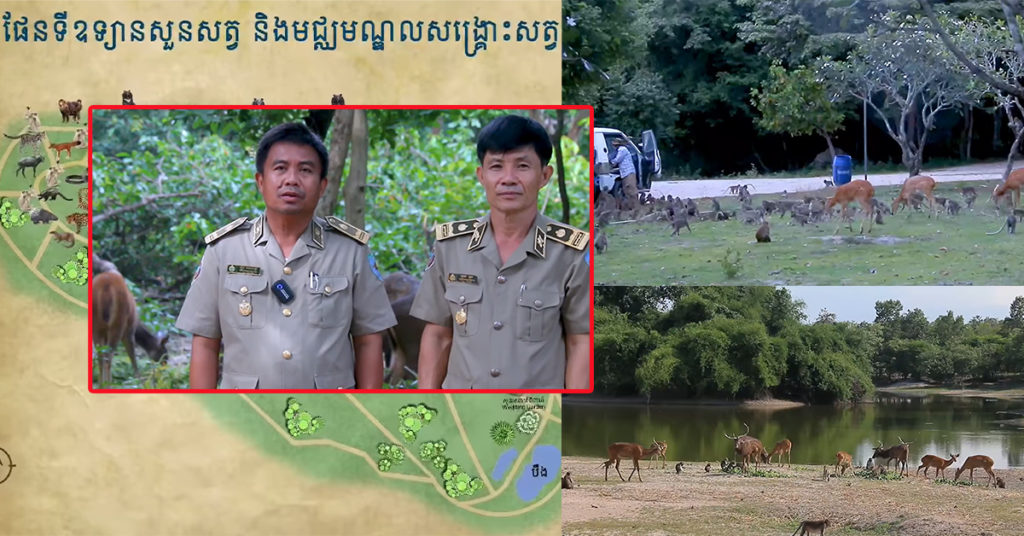មន្ត្រីសួនសត្វភ្នំតាម៉ៅច្រានចោលព័ត៌មានថា សួនសត្វភ្នំតាម៉ៅមានគម្រោងរុះរើទៅខេត្តផ្សេង