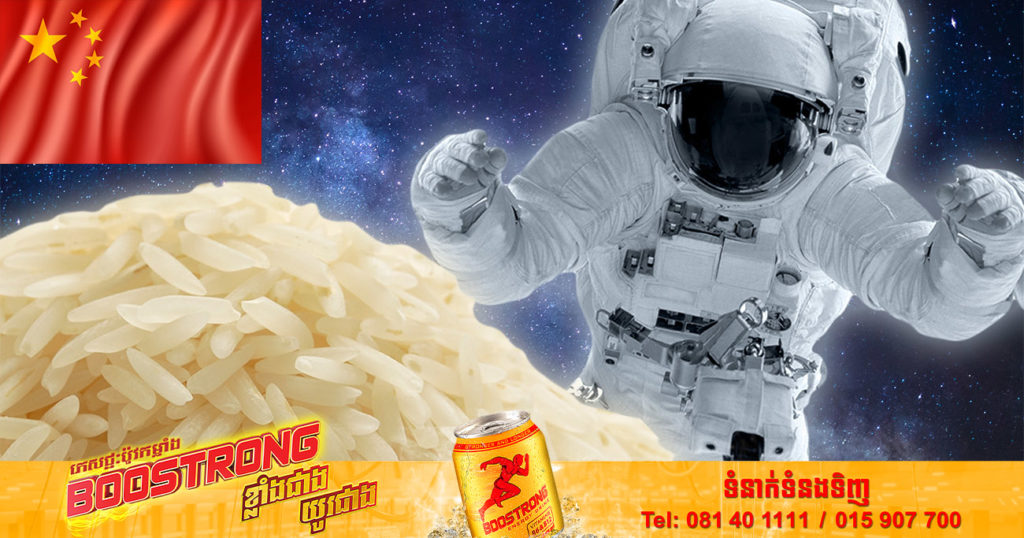 ទីបំផុត ប្រទេសចិនទទួលបានជោគជ័យក្នុងការដាំដុះស្រូវនៅលំហអាកាស