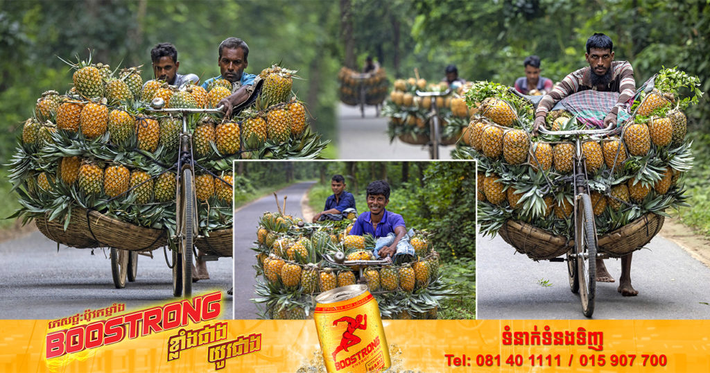 កសិករដាំម្នាស់នៅបង់ក្លាដែស នាំគ្នាដឹកម្ចាស់ខ្ទង់ ១០០ផ្លែ ទម្ងន់រហូតដល់ ៣០០គីឡូក្រាម ហើយដើរ១០គីឡូដី ដើម្បីយកទៅលក់នៅទីផ្សារ ដែលកំពុងឡើងថ្លៃ