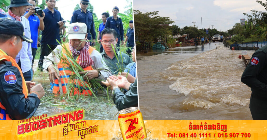 ខេត្តបន្ទាយមានជ័យ គ្រោងស្តារឡើងវិញដំណាំស្រូវចំនួន ១៥ ០០០ហិកតា ក្រោយពេលទឹកជំនន់ស្រកចុះ