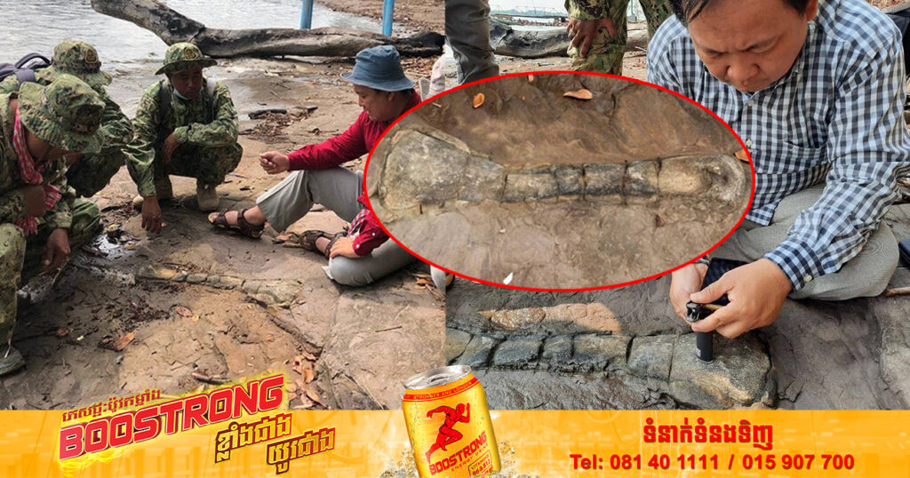 ផូស៊ីលឆ្អឹងសត្វដែលរកឃើញនៅកោះប៉ោ ត្រូវបានសន្និដ្ឋានជាជំហានដំបូងថា ជាឆ្អឹងសត្វដាយណូស័រ