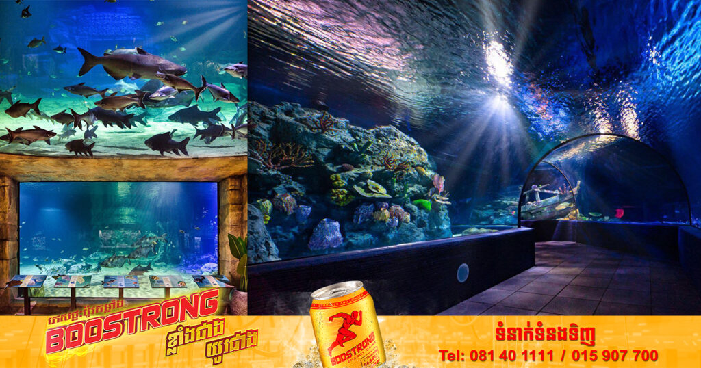 អាងពិព័រណ៌ត្រីទឹកសាប ទឹកប្រៃ និងសត្វជាច្រើនប្រភេទនៅខេត្តសៀមរាប នឹងបើកដំណើរការចាប់ពីថ្ងៃទី០១ ខែវិច្ឆិកា ឆ្នាំ២០២២នេះតទៅ