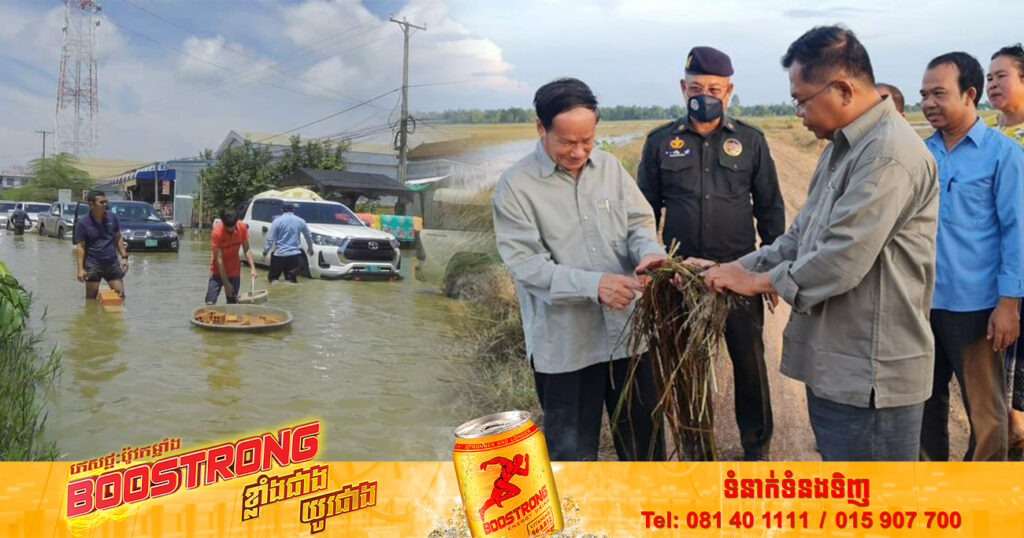 ជំនន់ទឹកភ្លៀងបានធ្វើឱ្យដំណាំស្រូវក្នុងខេត្តសៀមរាប រងផលប៉ះពាល់ចំនួនសរុប ៣៧ ៧៨៥ ហិកតា ដោយត្រូវការពូជចំនួន៣៧៧,៤តោន ដើម្បីស្តារឡើងវិញ