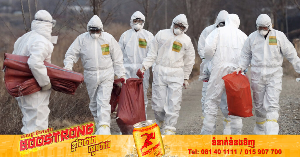 អង្គការសុខភាពពិភពលោក ប្រកាសពីការរកឃើញករណីជំងឺផ្តាសាយបក្សី H5N1 លើកម្មករកសិដ្ឋានចំនួន ២នាក់ នៅក្នុងប្រទេសអេស្ប៉ាញ