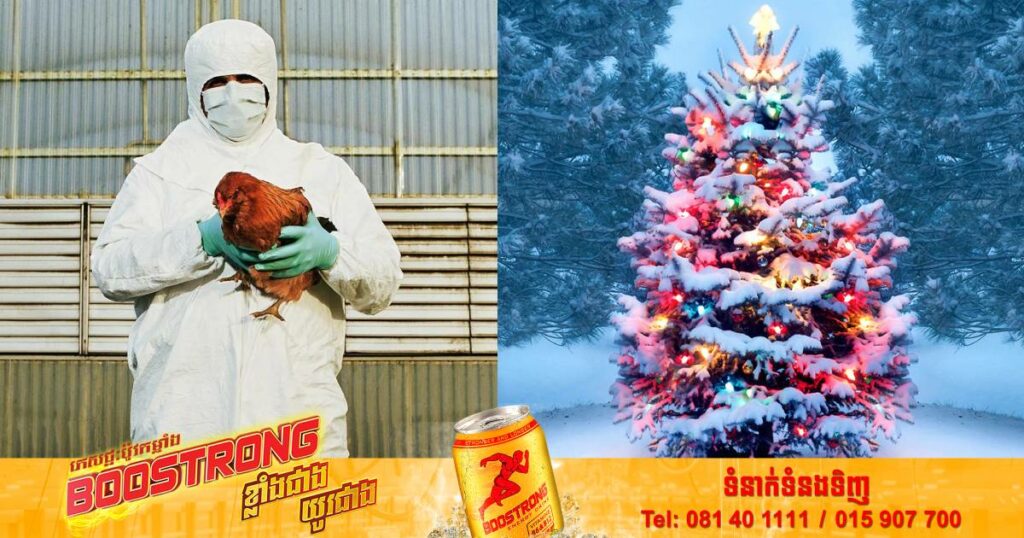 អង់គ្លេសអាចនឹងលុបចោលការរៀបចំពិធីបុណ្យណូអែល ដ្បិតជំងឺផ្តាសាយបក្សីកំពុងផ្ទុះខ្លាំង