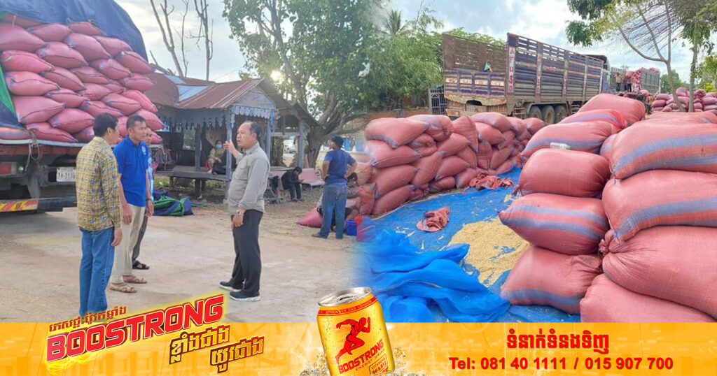 ក្រោយមានការអន្តរាគមន៍ពីរាជរដ្ឋាភិបាល តម្លៃប្រមូលទិញស្រូវកំពុងតែមានស្ថិរភាព ប្រសើរឡើងវិញ ធ្វើឱ្យប្រជាកសិករខេត្តបន្ទាយមានជ័យ រីករាយសាទរ