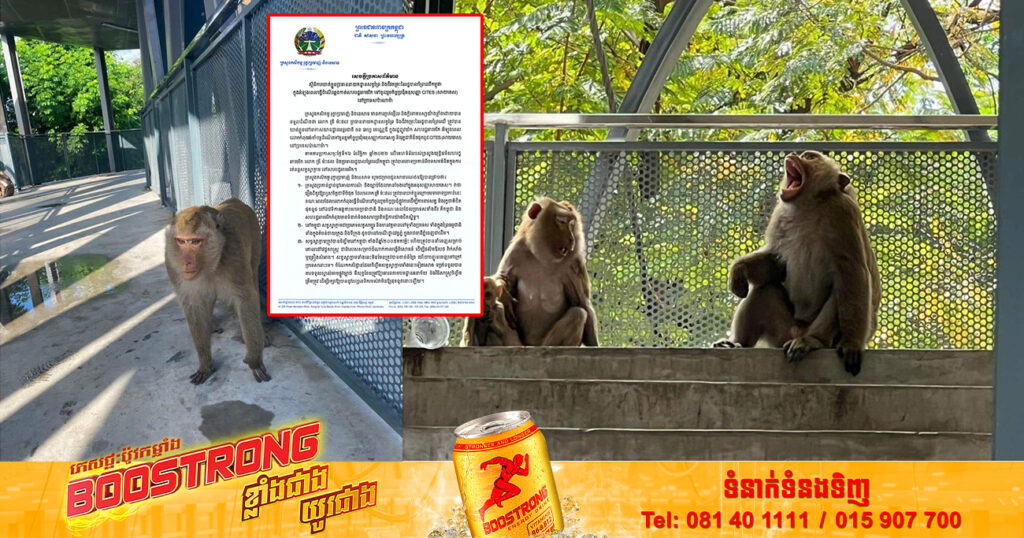 ក្រសួងកសិកម្ម បំភ្លឺព័ត៌មាន ជុំវិញការឃាត់ខ្លួនប្រធាននាយកដ្ឋានសត្វព្រៃ និងជីវចម្រុះនៃរដ្ឋបាលព្រៃឈើកម្ពុជា ដែលចោទពីបទសមគំនិតរត់ពន្ធសត្វស្វាក្តាម