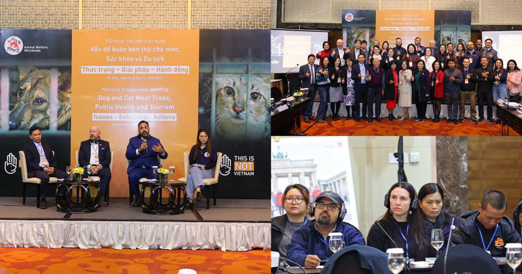 យុទ្ធនាការបញ្ឈប់ការជួញដូរសាច់ឆ្កែ និងឆ្មារបស់អង្គការ FOUR PAWS បានរៀបចំកិច្ចប្រជុំថ្នាក់​ជាតិជាមួយភាគីពាក់ព័ន្ធនៅប្រទេសវៀតណាម