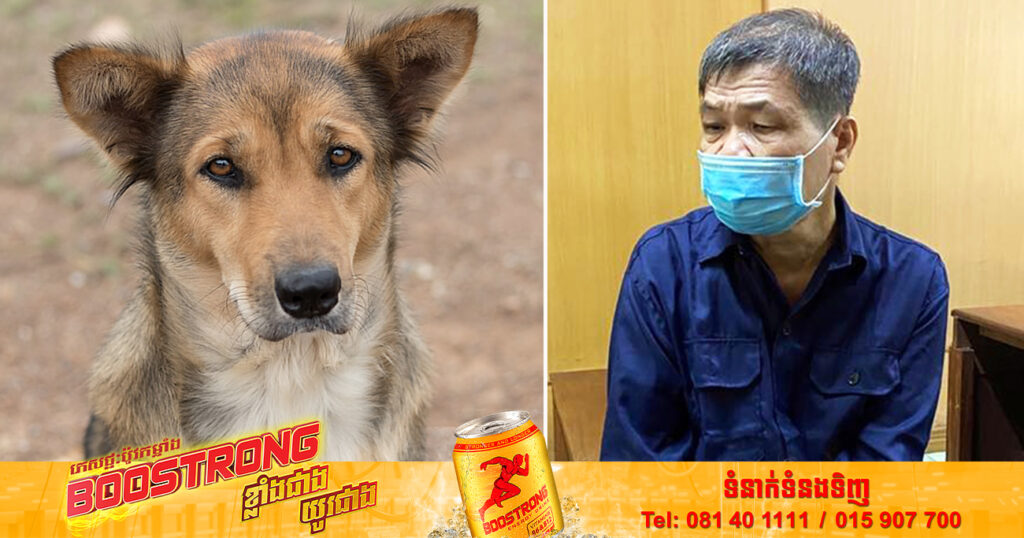 បុរសវៀតណាមម្នាក់ត្រូវបានកាត់ទោសឱ្យជាប់គុក ១៦ឆ្នាំ ដោយសារបានធ្វើឱ្យចោរលួចឆ្កែរបស់គាត់បាត់បង់ជីវិត