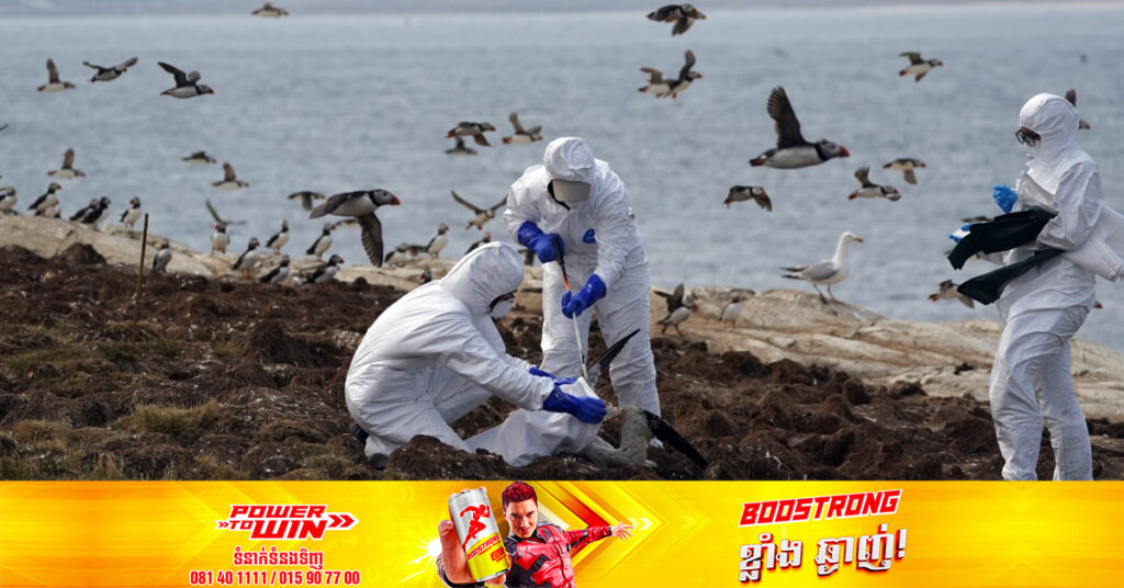 ប្រទេស​ជប៉ុនបានមើលឃើញពីការកើនឡើងខ្ពស់នៃករណី​ជំងឺ​ផ្ដាសាយ​បក្សី​នៅក្នុងរដូវរងាឆ្នាំនេះ