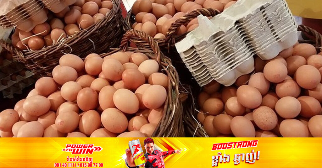 តម្លៃ​ស៊ុត​នៅ​ជប៉ុនហក់ឡើង​ខ្ពស់ជាងមុនជាង ២ដង ចំពេល​មាន​ការ​ផ្ទុះ​ជំងឺ​ផ្ដាសាយ​បក្សីនៅទូទាំងប្រទេស