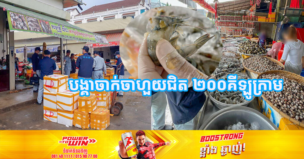 មន្ត្រីជំនាញ រកឃើញបង្គាចាក់ចាហួយប្រមាណជិត ២០០គីឡូក្រាម នៅម្តុំត្រឡោកបែក